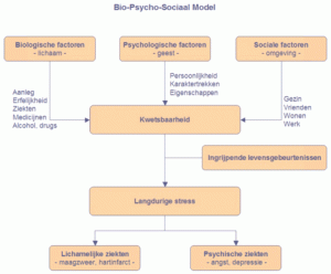 Bio-Psycho-Sociaal_Model